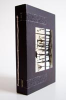 Vor lauter Bäumen Vor lauter Bäumen