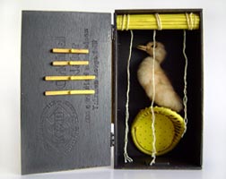 Auf der gelben Bambusplatzmatte Auf der gelben Bambusplatzmatte